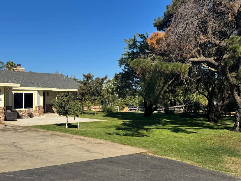 Front Yard